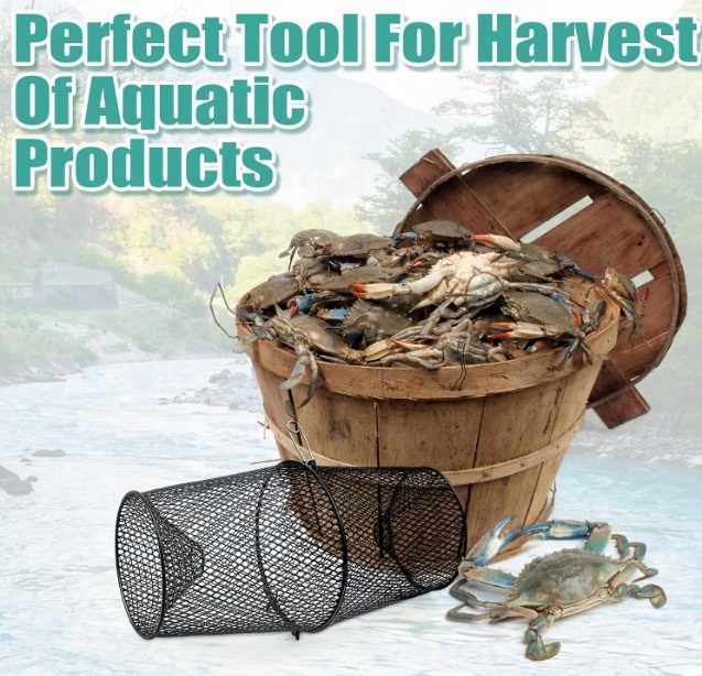 Металлическая ловушка для рако – обзор и цена Fishing Equipment Market